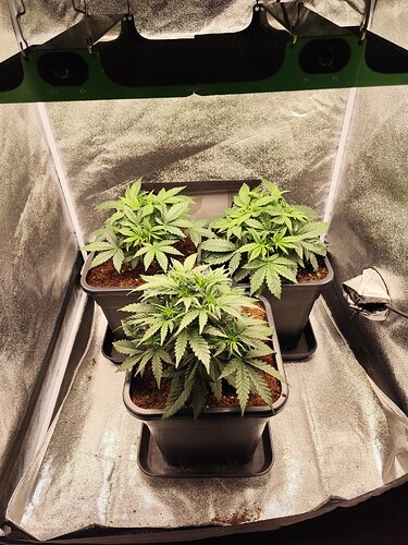 Growreport Bild 10