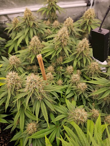 Growreport Bild 14