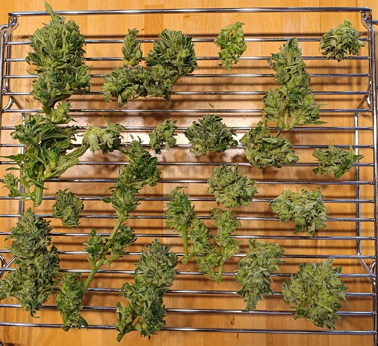 Growreport Bild 5