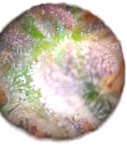 Growreport Bild 10