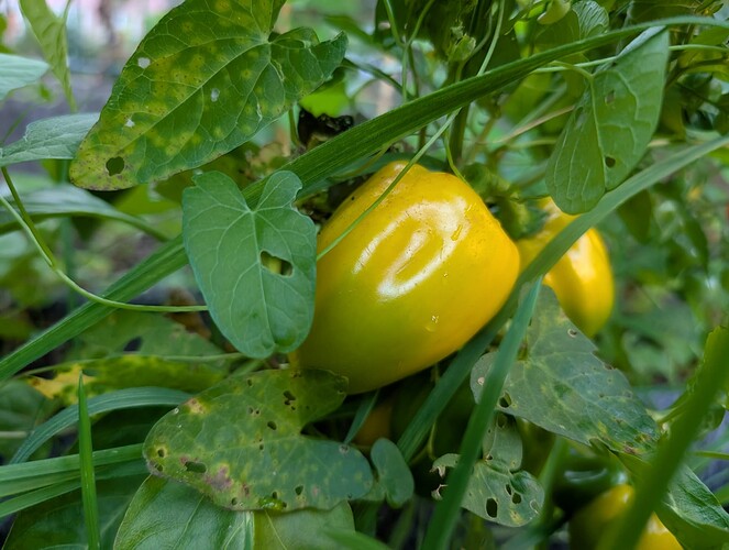 Growreport Bild 22