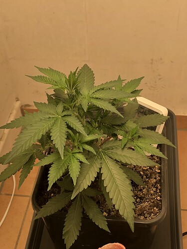 Growreport Bild 8
