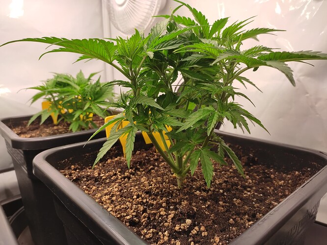Growreport Bild 24
