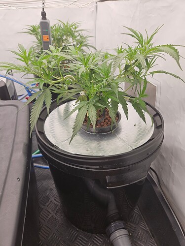 Growreport Bild 8