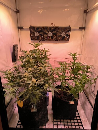 Growreport Bild 18