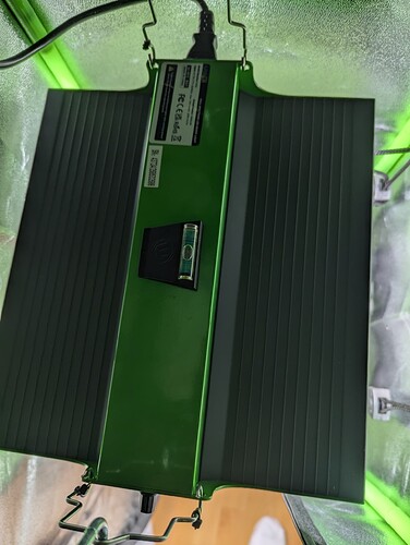 PXL_20241009_182321912