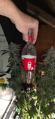 Growreport Bild 33
