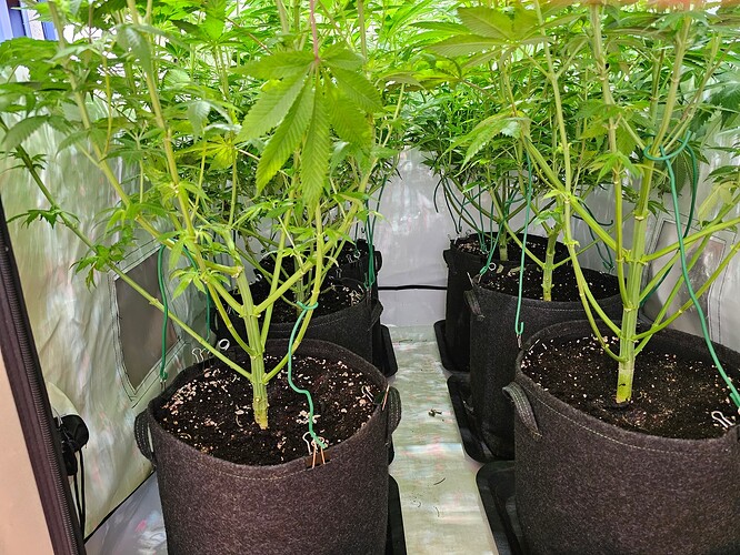 Growreport Bild 5