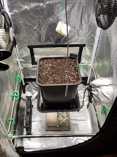 Growreport Bild 12