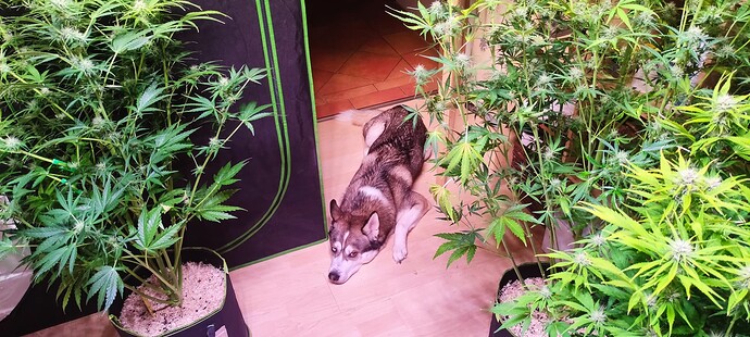 Growreport Bild 10