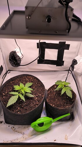 Growreport Bild 13
