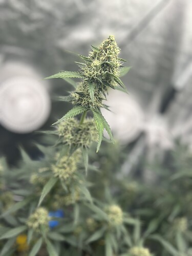 Growreport Bild 18