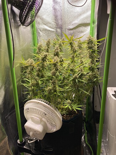 Growreport Bild 14