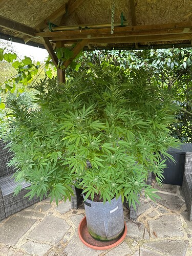 Growreport Bild 22