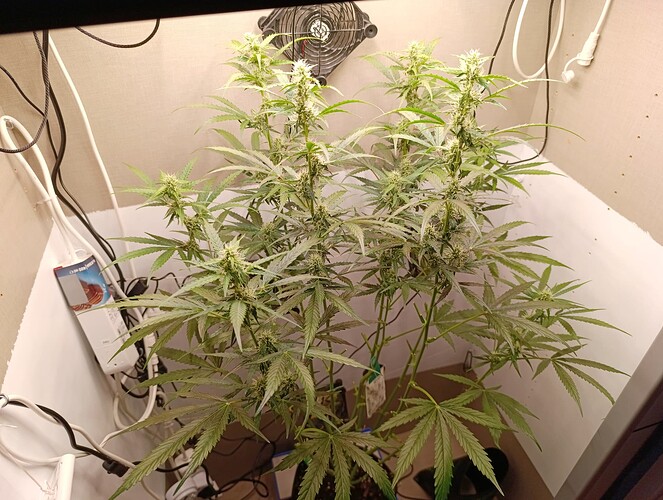 Growreport Bild 24