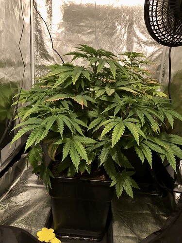 Growreport Bild 2