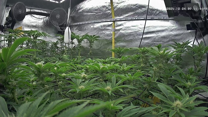 Growreport Bild 8