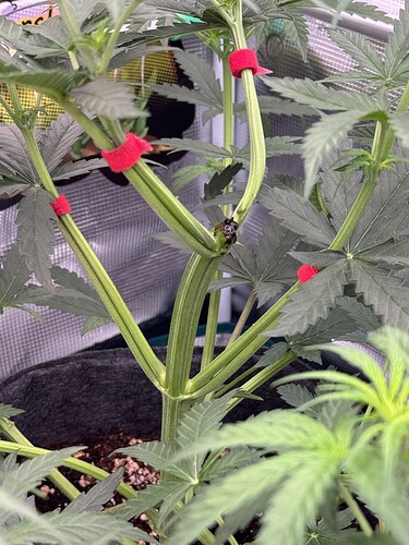 Growreport Bild 15
