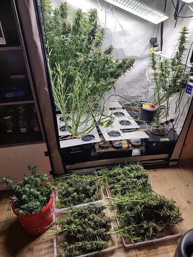 Growreport Bild 1