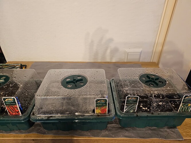 Growreport Bild 25