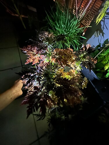 Growreport Bild 14