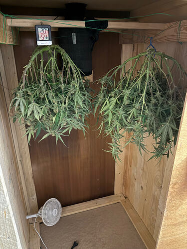 Growreport Bild 23