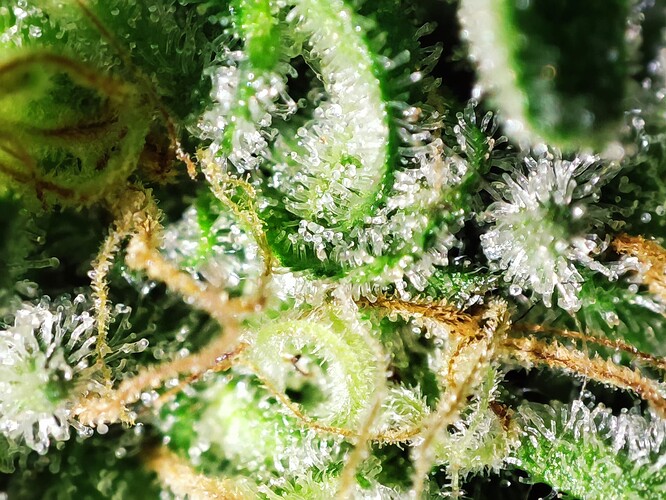 Growreport Bild 11