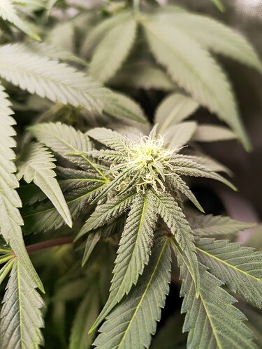 Growreport Bild 21
