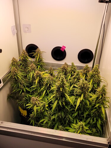 Growreport Bild 3