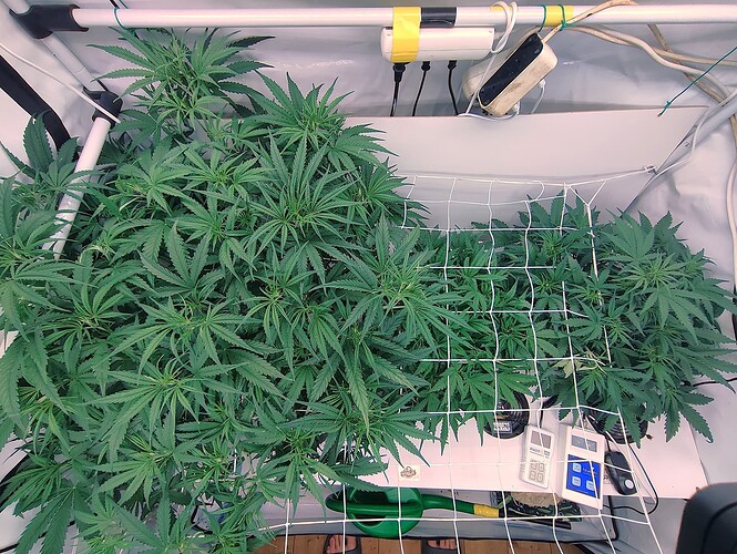 Growreport Bild 15