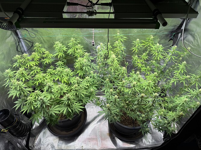 Growreport Bild 27