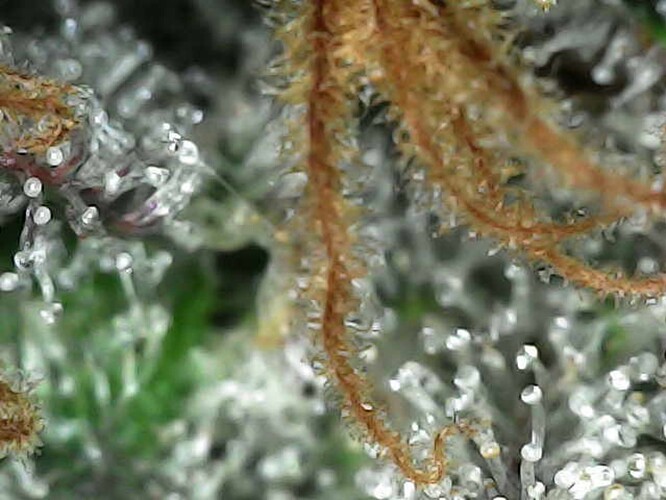 Photo_2025-04-28 16_30_31_192