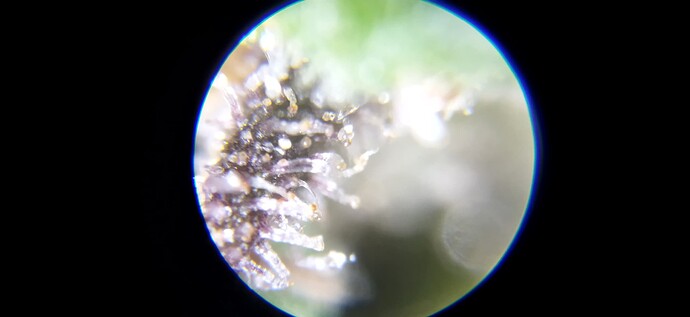 Growreport Bild 18