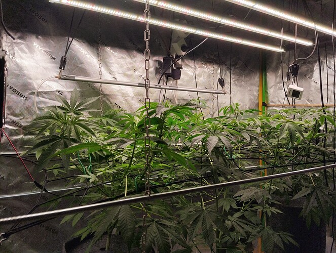 Growreport Bild 2