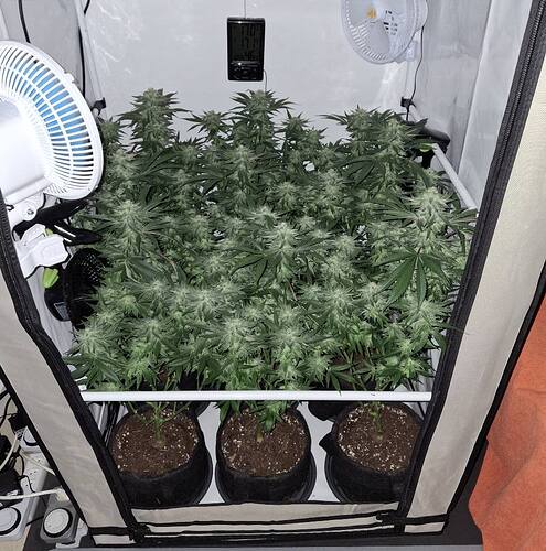 476372755_122166827180293599_6265827680881060345_n