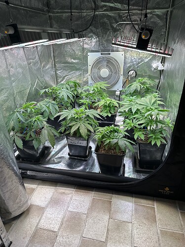 Growreport Bild 28