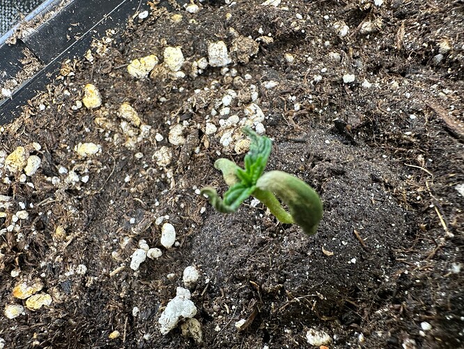 Growreport Bild 24