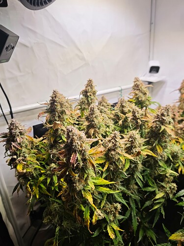 MVIMG_20251202_164028