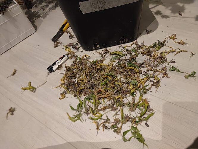 Growreport Bild 7