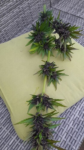 Growreport Bild 12