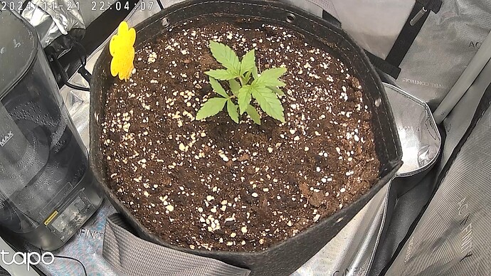 Growreport Bild 1