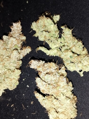Drei getrocknete Cannabis-Buds auf schwarzem Hintergrund.