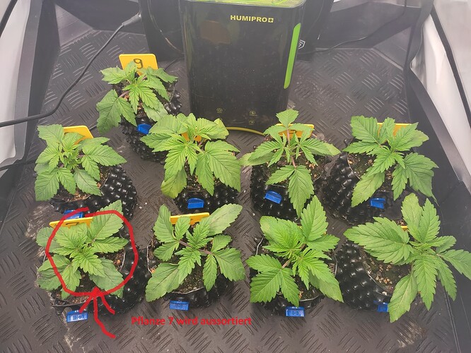 Growreport Bild 5