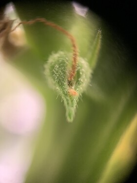 Growreport Bild 10