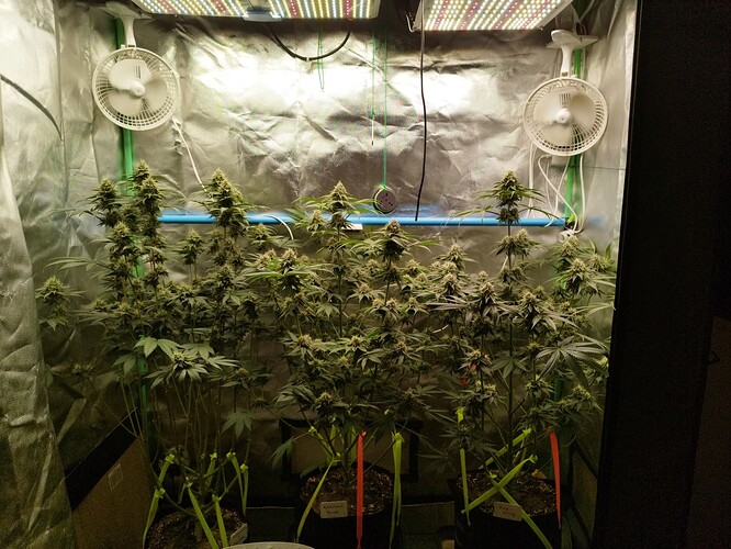 Growreport Bild 7