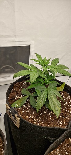 Growreport Bild 18