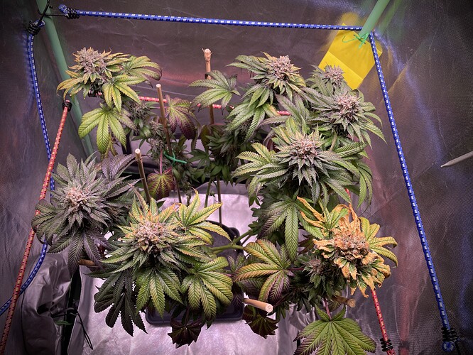 Growreport Bild 18