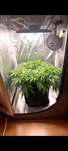 Growreport Bild 9