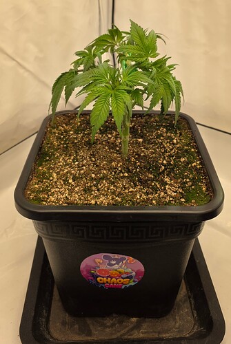 Growreport Bild 10