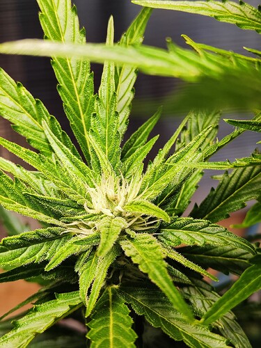 Growreport Bild 16